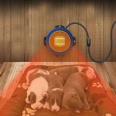 two puppies sleeping on a dog bed with a heater next to it and a lamp