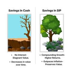 two different types of trees with the words savings in cash and savings in sip