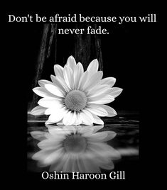 a white flower sitting on top of a black table next to a quote that says don't be afraid because you will never fade