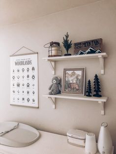 a bathroom with two shelves above the toilet