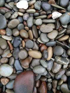 rocks and pebbles are arranged together on the ground