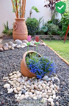 there is a potted plant in the middle of this graveled area with blue flowers