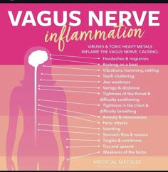 How To Stop Dizziness, Vagus Nerve Healing, Vegas Nerve, Inflammation Symptoms, Nervus Vagus, Polyvagal Theory, The Vagus Nerve, Nerve Health, Brain Connections