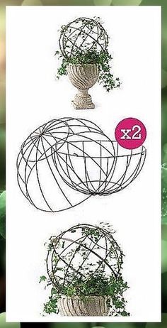 three different types of wire baskets with plants growing out of them, and the same type of planter