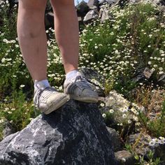 a person standing on top of a rock in the middle of a field with wildflowers