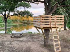 a treehouse built into the side of a tree near a lake with a bench underneath it