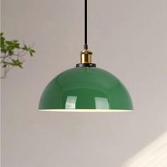 a green light hanging from a ceiling in a room with a plant on the wall