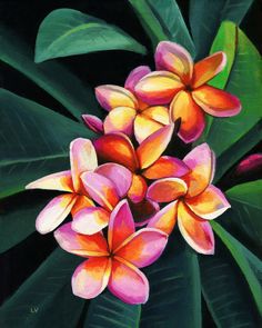 an oil painting of pink and yellow flowers with green leaves on a black background,