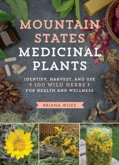 Mountain States Medicinal Plants: Identify Medical Plants, Edible Wild Plants, Herbal Apothecary, Wild Plants, Bar Club, Yoga Lifestyle