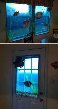 two pictures of fish in an aquarium window