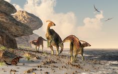 an artist's rendering of dinosaurs walking on the beach with rocks and seagulls