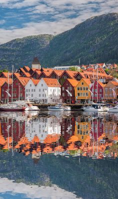 many boats are docked in the water near some buildings and mountains with trees on them