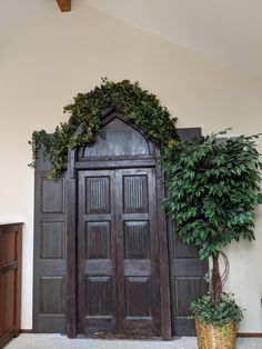 a potted plant sitting in front of a wooden door with vines on the top