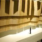 the shadow of a person standing in front of a wall made out of wooden slats