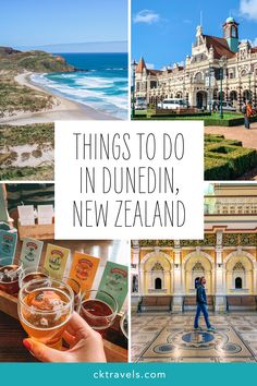 things to do in dunnedin, new zealand