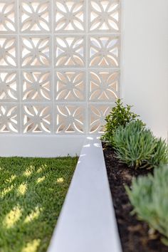 an image of a white fence with grass in the foreground and plants on the other side