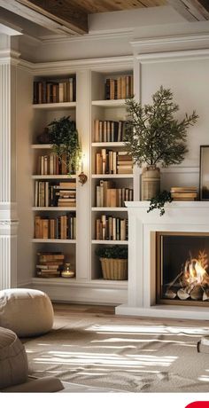 a living room with bookshelves and a fire place in the middle of it