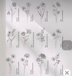 an image of flowers on a sheet of paper with the words, flower names and their meanings