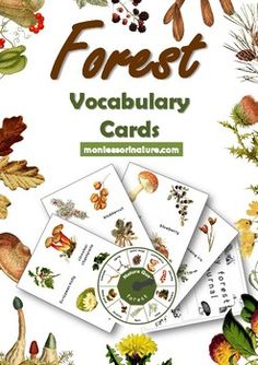 the forest card game is filled with different types of plants