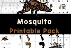 mosquito printable pack for kids to practice letter formation and matching letters with their own pictures