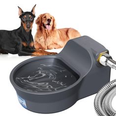 two dogs laying next to a water fountain