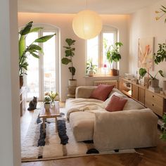 a living room filled with furniture and lots of plants on top of the couches