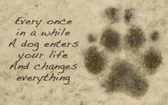 a paw print with the words, every once in a while at dog enters your life and changes everything