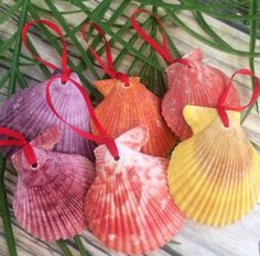 four seashells with red ribbon hanging from them