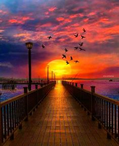 a pier with birds flying over it at sunset