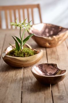 two bowls with plants in them sitting on a wooden table