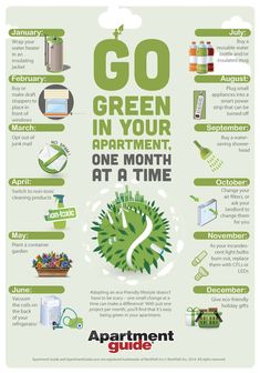 the green apartment poster is shown with information about what to do and where to go