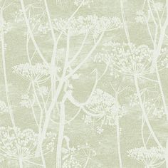 an image of a wallpaper with white flowers on the side and light green background