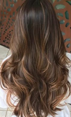 Rambut Brunette, Brunette Balayage Hair, Caramel Highlights