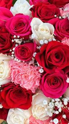 a bouquet of red and white roses with baby's breath in the center is shown