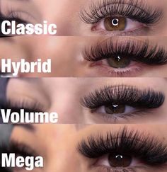 Natural Fake Eyelashes, Lashes Fake Eyelashes, Russian Volume Lashes, Eyelash Tips, Eyelash Technician, Cat Eye Lash, Lash Extensions Styles, Eyelash Extensions Styles, Volume Lash Extensions