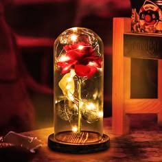 a red rose in a glass dome with fairy lights