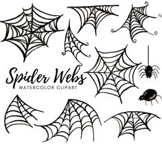 spider webs and watercolor clipart for halloween coloring pages with black widowes