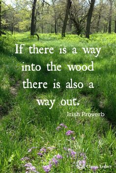 Quote Irish Proverb.  If there is a way into the wood there is also a way out. Wood Quotes, Irish Proverb, Into The Woods Quotes, Irish Proverbs