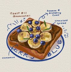 a plate with toast and blueberries on it, labeled in different parts of the image