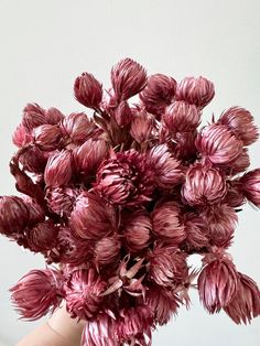 a person holding a bunch of pink flowers in their left hand, with the background white wall behind them