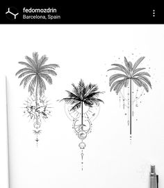 three palm trees are shown on the wall in this black and white photo, one is drawn