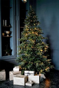 a christmas tree with presents under it in front of a blue wall and black walls