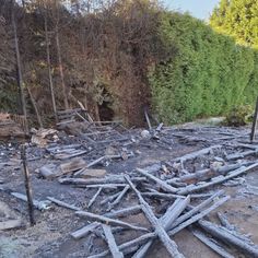 a pile of wood sitting on top of a dirt field next to a forest filled with trees