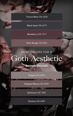 Goth Aesthetic Paint Palette in 2022Paint colors for homeGothic home decorPaint color inspiration Color Pallete Aesthetic Neutral, Moody Living Room Diy, Plum Color Palette Interior Design, Makeup Room Color Scheme, Sherwin Williams Darkroom Cabinets, Dark Grey Palette Colour Schemes, Sherwin Williams Goth Aesthetic, Dramatic Room Colors, Paint House Black