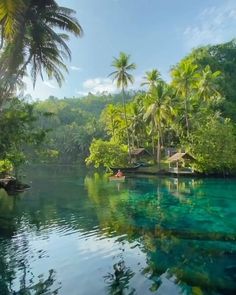 the water is crystal blue and clear with palm trees in the backgrouds