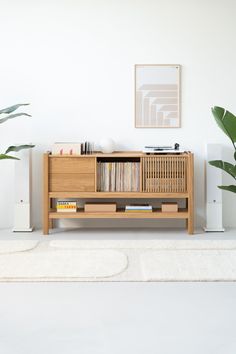 a living room with a book shelf and plants on the side table in front of it