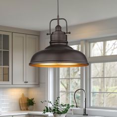 a kitchen with an island light hanging from the ceiling and potted plants on the counter