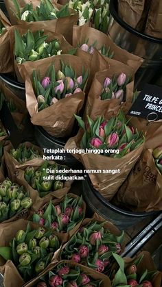 there are many tulips in brown paper bags