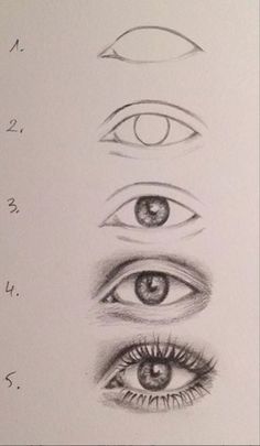 a drawing of different eyes and their corresponding parts