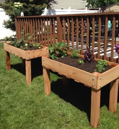 two wooden planters with plants growing in them